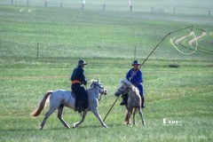 马背上的风采（20）