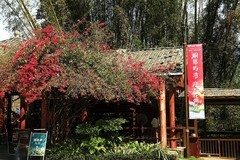 春节广西游--崇左峒那屿湾之一