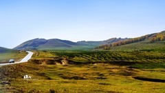 金秋乌兰布统——杨树背（11）