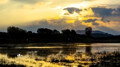 金秋乌兰布统——杨树背（11）