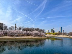 2026年-天津之行纪实旅拍-0211