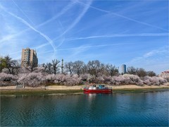 2026年-天津之行纪实旅拍-0211