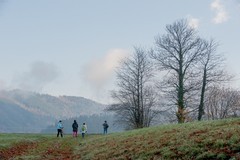 赏冬--（南德黑森林）