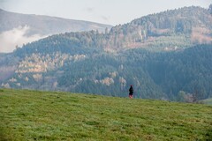 赏冬--（南德黑森林）