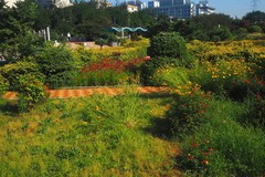 夏日·花卉园
