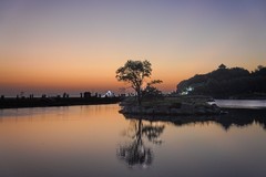 黎明赶海场景（鸽子窝公园）