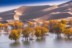 外出随拍（708）.