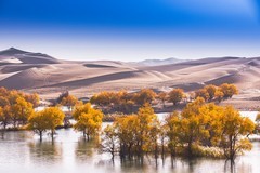 外出随拍（708）.