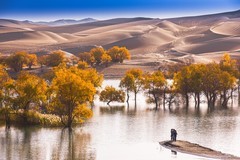 外出随拍（708）.