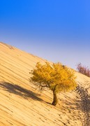 外出随拍（709）.