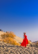 外出随拍（709）.