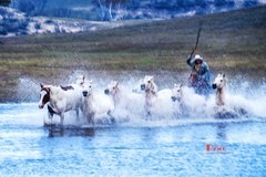 慢门 飞马踏水（13）