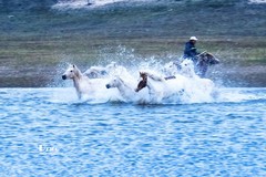 慢门 飞马踏水（13）
