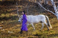 乌兰布统——温顺与柔情（19）