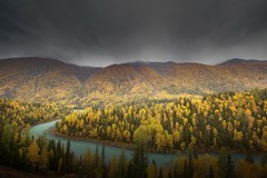 新疆喀纳斯风景16