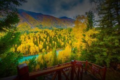 新疆喀纳斯风景16