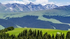 喀拉峻草原（4）