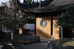 甪直古镇随拍 ------ 5