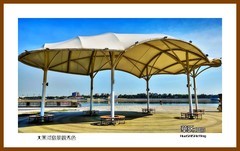 大黑河岛景观秀色—2024寻北记（050）黑龙江省黑河市