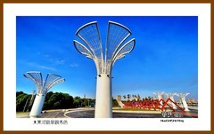 大黑河岛景观秀色—2024寻北记（050）黑龙江省黑河市
