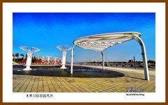 大黑河岛景观秀色—2024寻北记（050）黑龙江省黑河市
