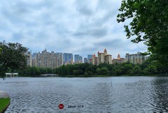 亚艺的湖景。