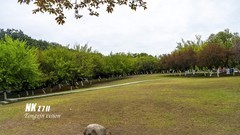 成都植物园（1）