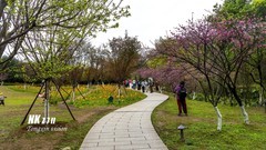 成都植物园（1）