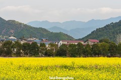 福建南平五夫古镇（1）