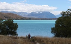 蒂卡普湖随拍（二）