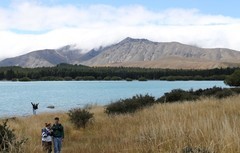 蒂卡普湖随拍（二）