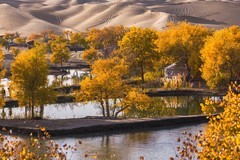 外出随拍（711）.