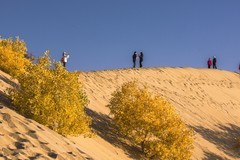 外出随拍（711）.