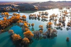 外出随拍（713）.