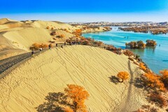 外出随拍（713）.