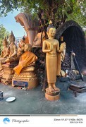 老挝西蒙寺