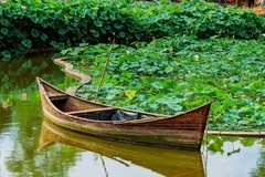 《荷    花  》  （宋 · 白玉蟾）