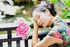 【十香园旗袍美女】---丰银