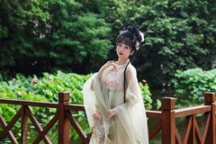 荷塘靓影