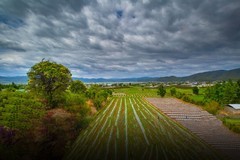 香格里拉到西双版纳沿途风景55