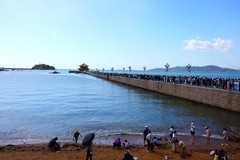 青岛游