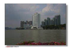 今天在江边的新拍。