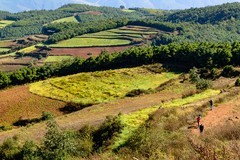 七彩调色盘· 东川红土地