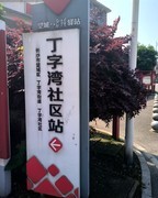 漫步星城 （1042）丁字新街
