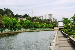 海河随拍（一）