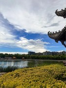 2026年- 陶然亭风光纪实-0419