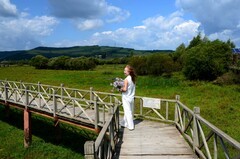 雁鸣湖湿地（2）