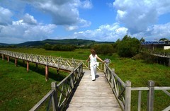 雁鸣湖湿地（2）