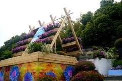 武汉市第42 届金秋菊展3