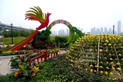 武汉市第42 届金秋菊展3